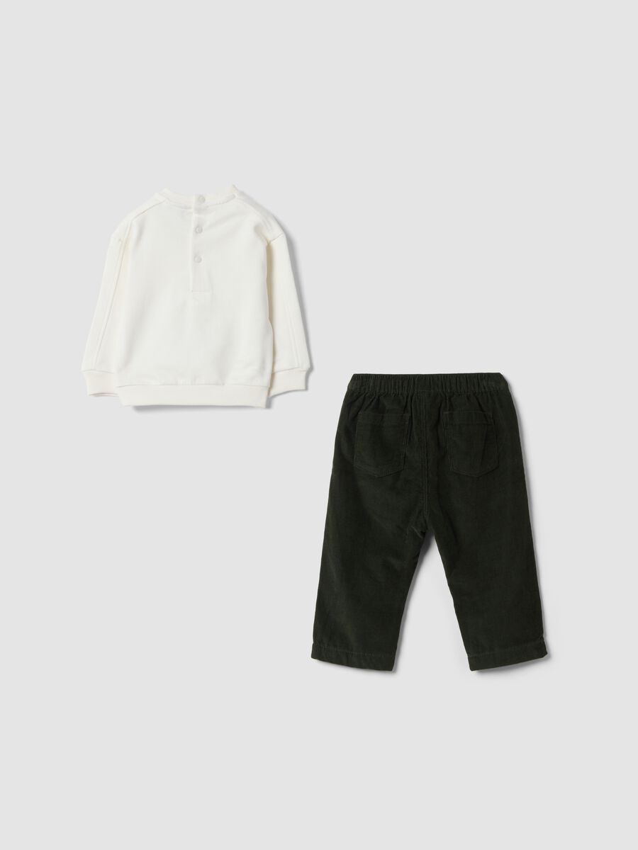 Green and white pure cotton set with dinosaur print_1
