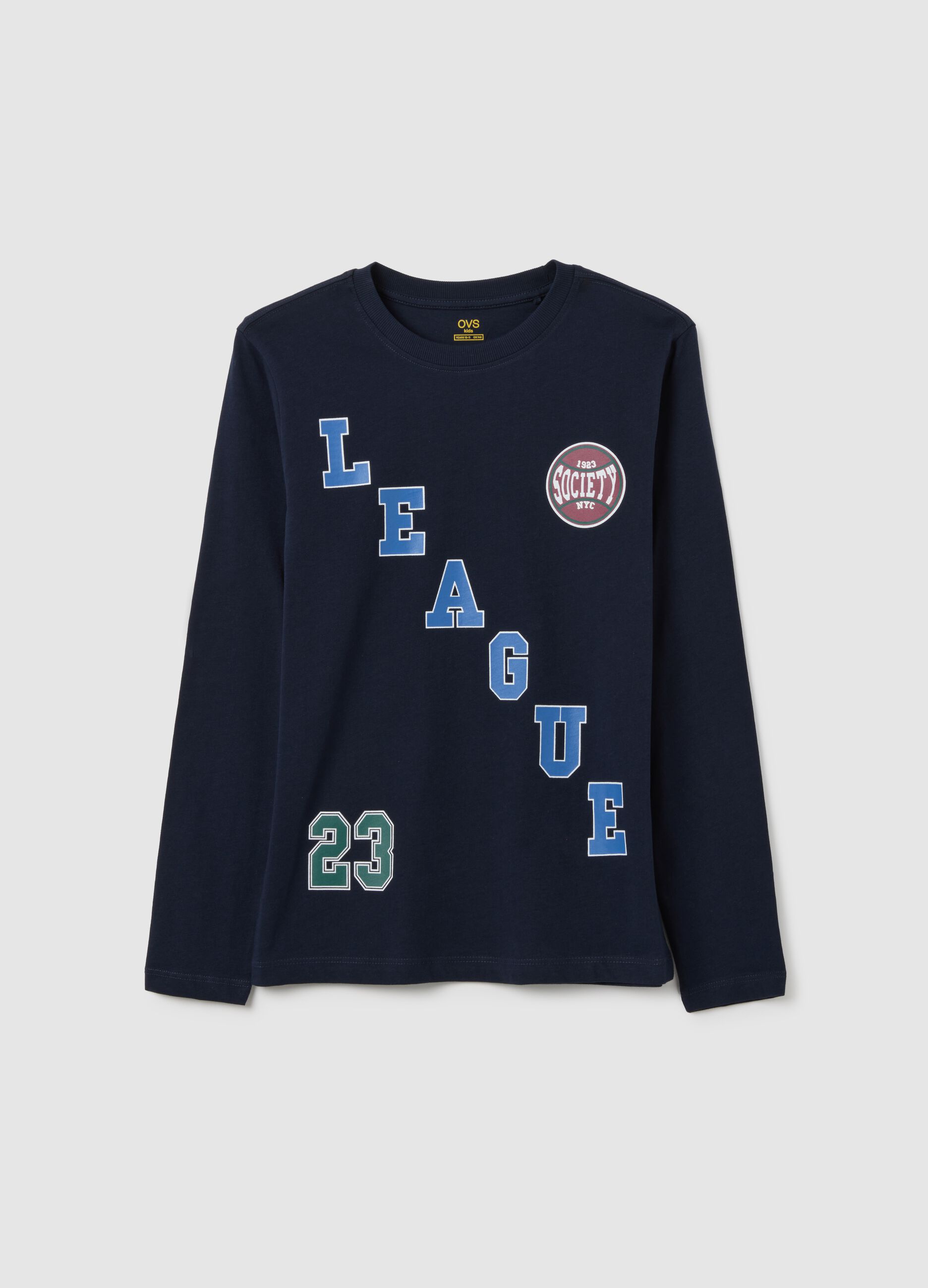 Blue regular fit boys' pure cotton jumper