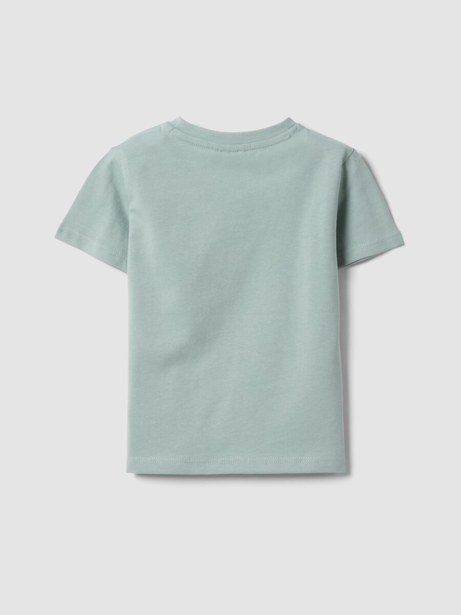 Grey pure cotton boys&rsquo; T-shirt with print_1