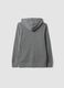 Grey hoodie in pure organic cotton, regular fit_2