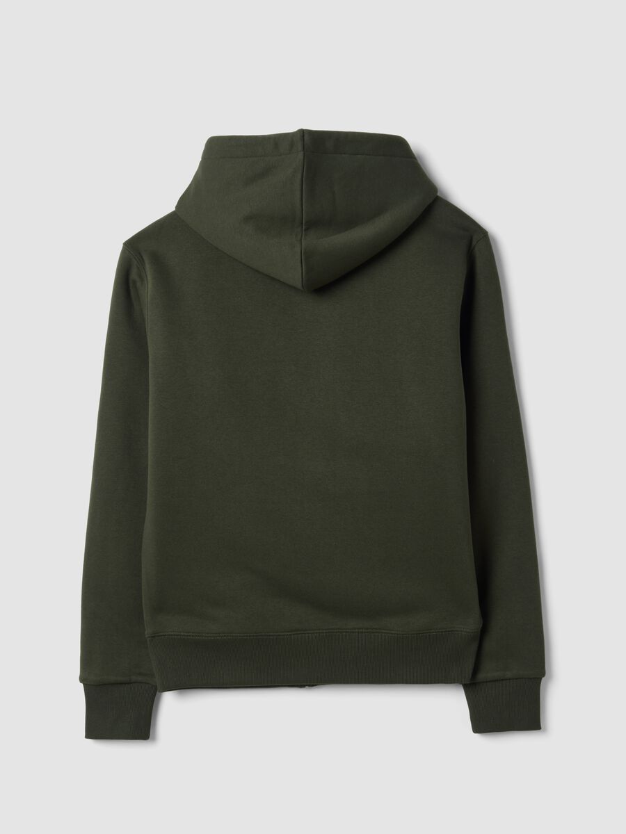 Green cotton-blend fleece hoodie, regular fit_1