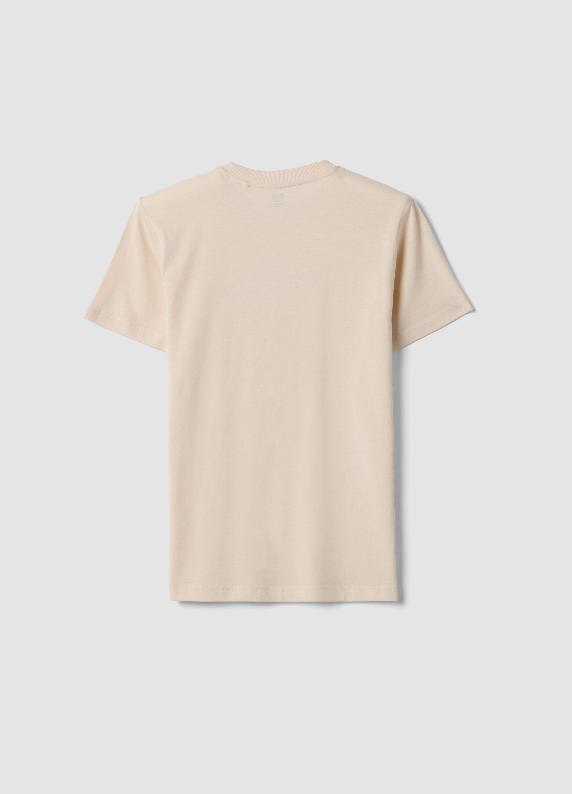Boy's regular fit beige pure cotton T-shirt with print