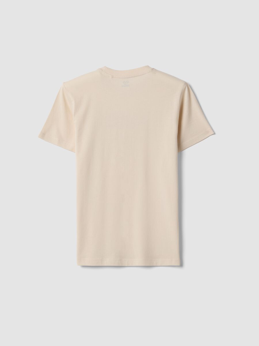 Boy's regular fit beige pure cotton T-shirt with print_4