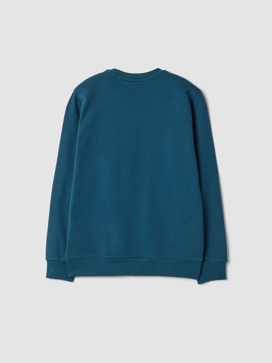 Blue pure cotton crew-neck sweatshirt with college print_1