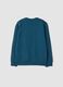 Blue pure cotton crew-neck sweatshirt with college print_1