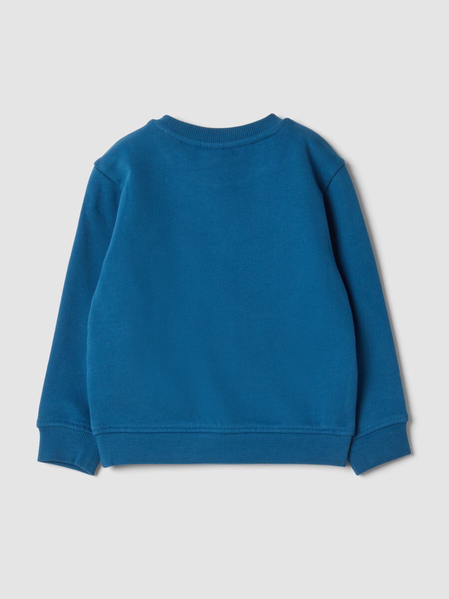 Blue crew-neck sweatshirt in pure organic cotton_1