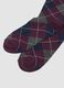Tripack di calze lunghe in cotone organico elasticizzato multicolor_2