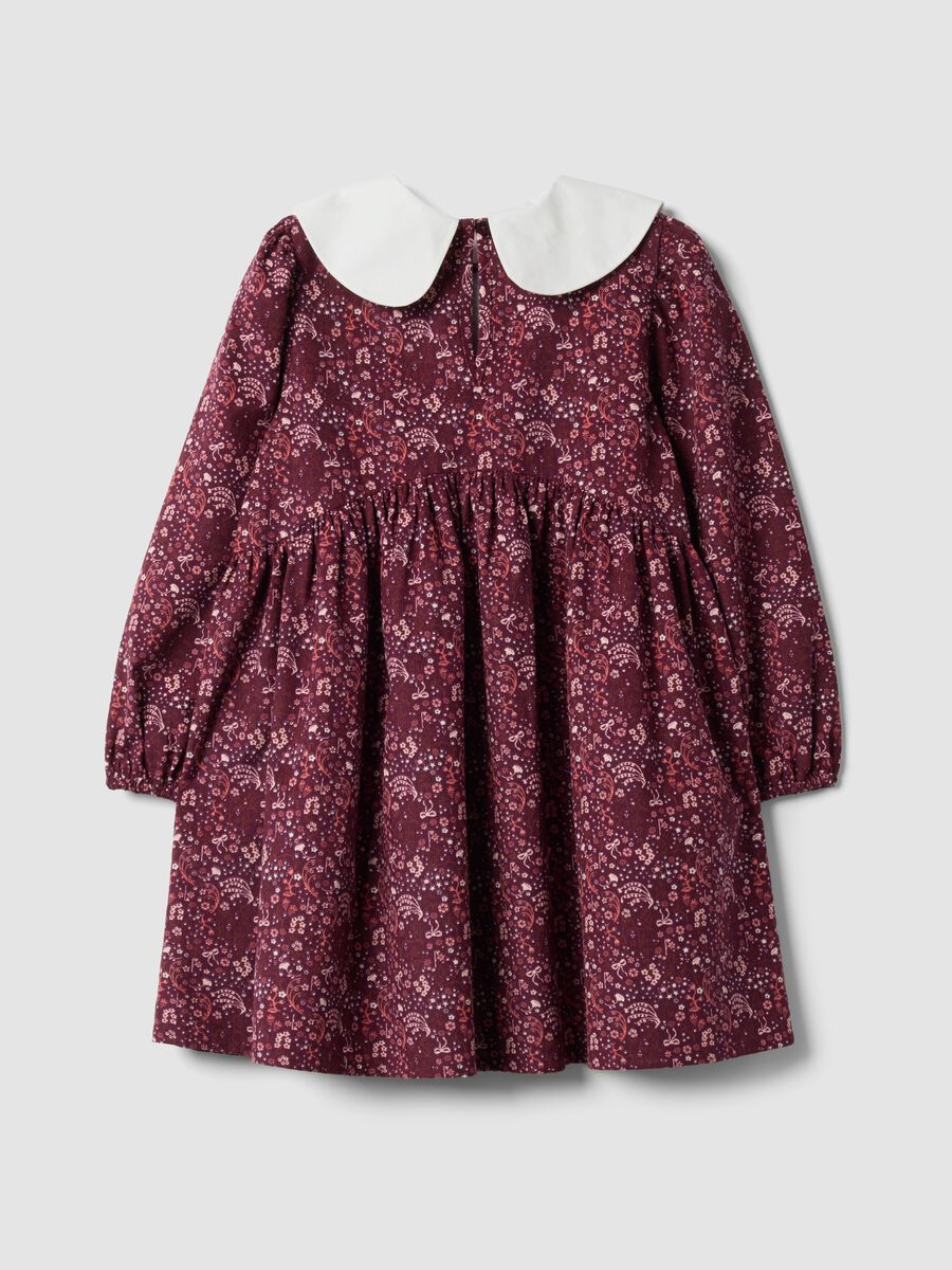 Burgundy red crew-neck pure cotton dress, regular fit_1