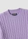 Purple cable-knit crew-neck jumper, regular fit_1